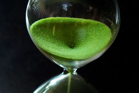 Rubrik_Naturschutz_Biodiv_-pixabay_-_SANDUHR_temporal-distance-917364__340